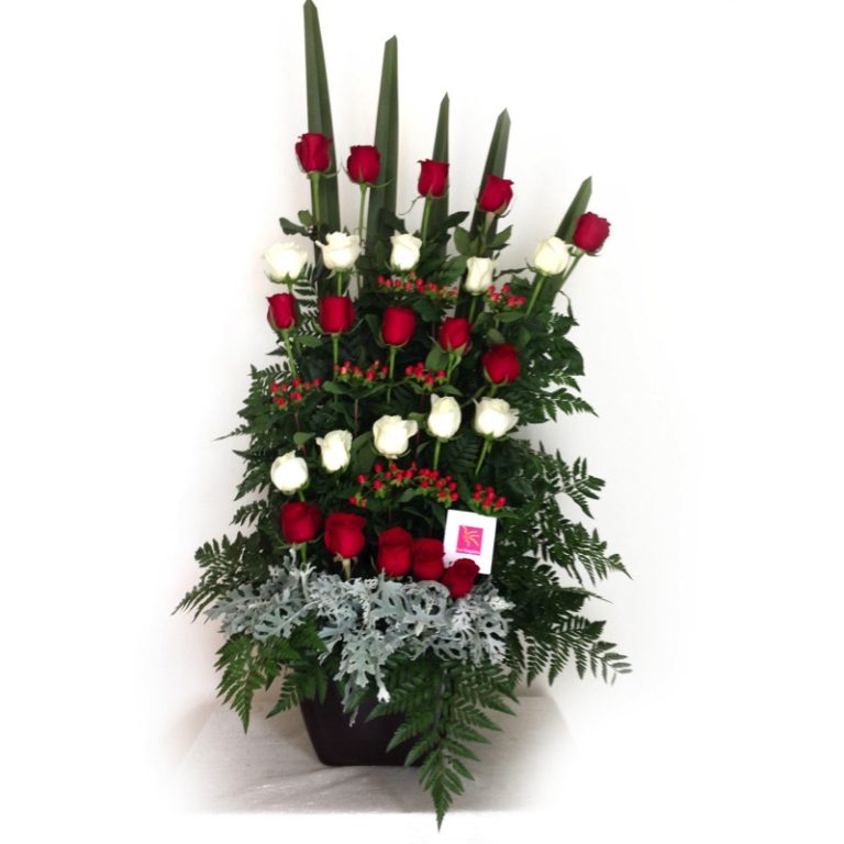 Floreria las Margaritas Floreria las Margaritas