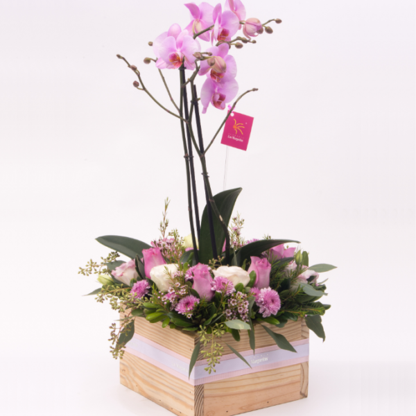 Flower Box ¡Sorpresa! Floreria las Margaritas