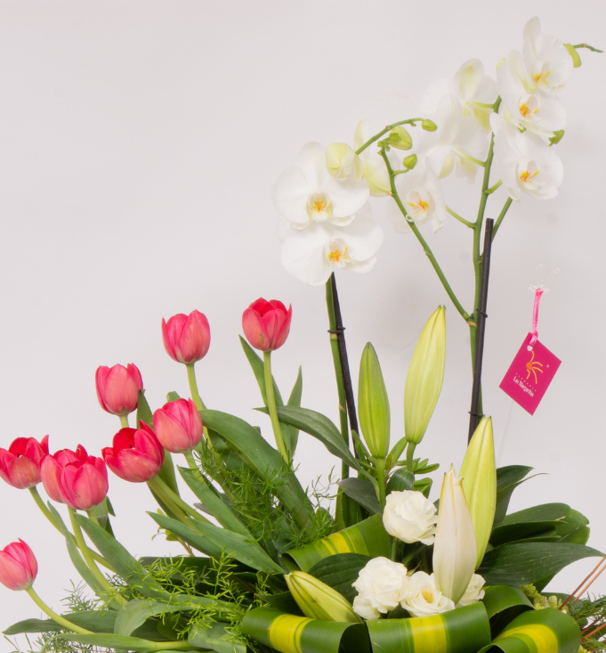 Celestial Alto – Orquídea y tulipanes rojos – Floreria las Margaritas