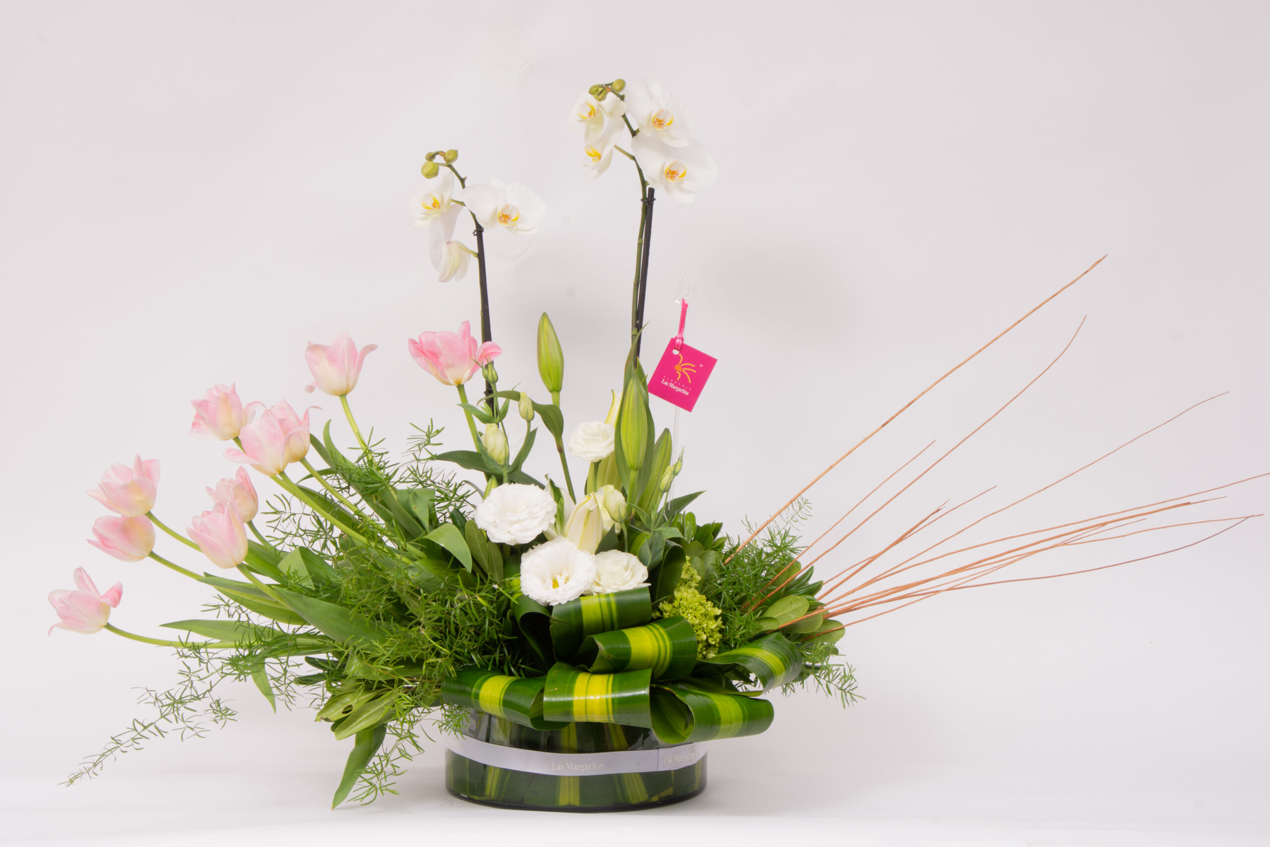 Celestial – Orquídea y tulipanes rosas – Floreria las Margaritas