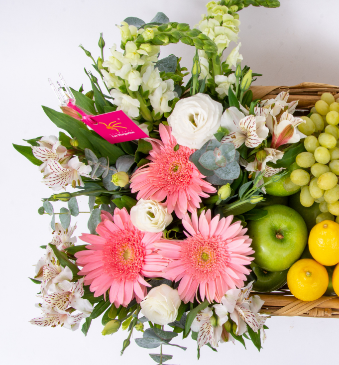 Frutal Gerberas – Floreria las Margaritas