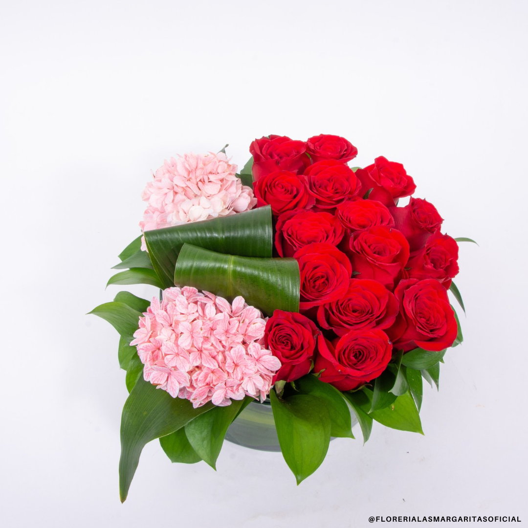 Hortensias y 15 rosas – Floreria las Margaritas