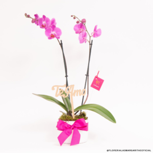 orquídea lila RAPPI