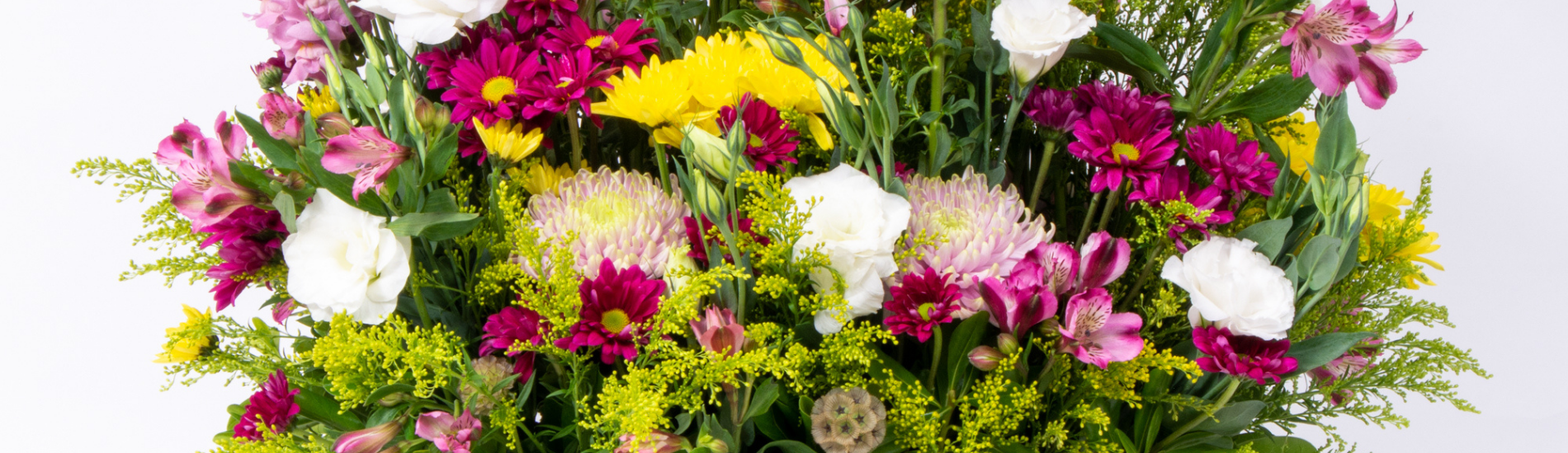 Floreria las Margaritas Floreria las Margaritas