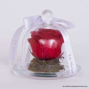 FLM-DM2025-R0001 Floreria Las Margaritas. Flores. Floreria. Guadalajara. Flores bonitas. Rosa Roja. Rosa preservada. Rosa Eterna. Rosas. Dia de las madres. Flores a domicilio. Rappi