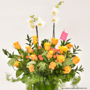 Floreria Las Margaritas Guadalajara Jalisco. Florerías. San Valentin. Dic de las madres. Cumpleaños. Aniversario. Servicio a Domicilio. RAPPI. Rosas. Orquideas. Flores GDL. Flores a domicilio.