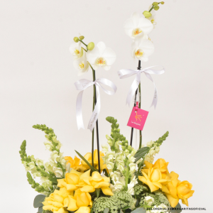 Floreria Las Margaritas Guadalajara Jalisco. Florerías. San Valentin. Dic de las madres. Cumpleaños. Aniversario. Servicio a Domicilio. RAPPI. Rosas. Orquideas. Flores GDL. Flores a domicilio.