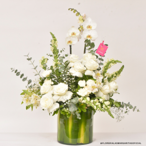 Floreria Las Margaritas Guadalajara Jalisco. Florerías. San Valentin. Dic de las madres. Cumpleaños. Aniversario. Servicio a Domicilio. RAPPI. Rosas. Orquideas. Flores GDL. Flores a domicilio. Flores blancas. Condolencias. Arreglos para funeraria.