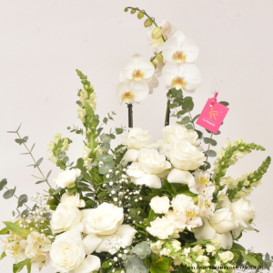 Floreria Las Margaritas Guadalajara Jalisco. Florerías. San Valentin. Dic de las madres. Cumpleaños. Aniversario. Servicio a Domicilio. RAPPI. Rosas. Orquideas. Flores GDL. Flores a domicilio. Flores blancas. Condolencias. Arreglos para funeraria.