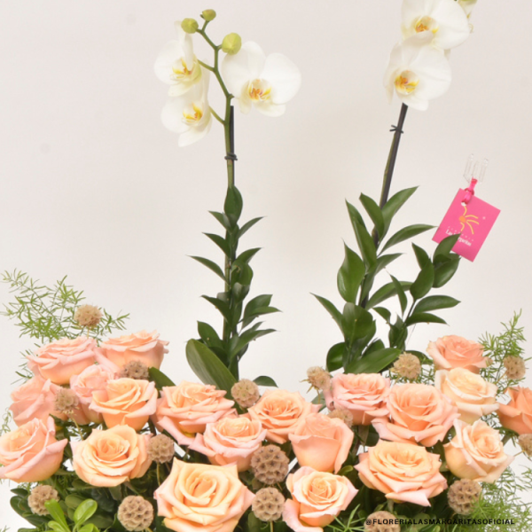 Floreria Las Margaritas Guadalajara Jalisco. Florerías. San Valentin. Dic de las madres. Cumpleaños. Aniversario. Servicio a Domicilio. RAPPI. Rosas. Orquideas. Flores GDL. Flores a domicilio.