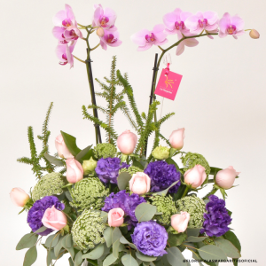 FLM-ORQ-0004 Floreria Las Margaritas Guadalajara Jalisco. Florerías. San Valentin. Dic de las madres. Cumpleaños. Aniversario. Servicio a Domicilio. RAPPI. Rosas. Orquideas. Flores GDL. Flores a domicilio.